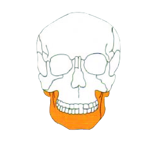 RHEIN 2.0 LOCK Mandible Locking Plating System